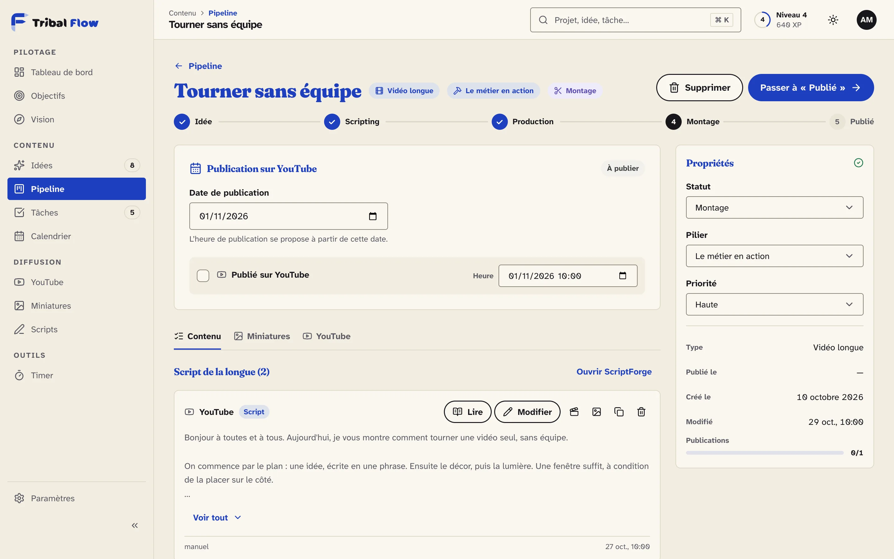Fiche d’une vidéo dans Tribal Flow : étapes, date de publication et script, données d’exemple