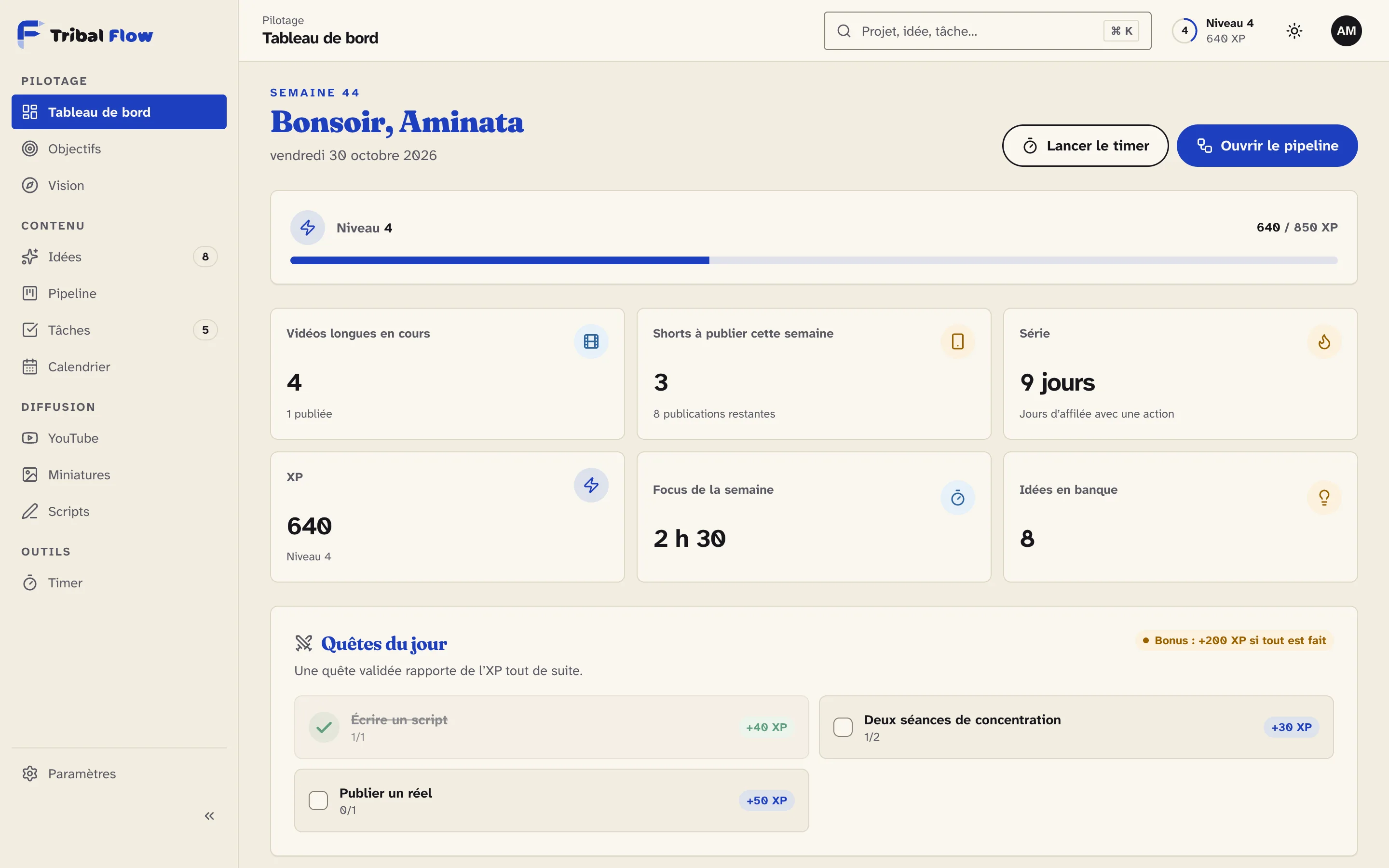 Tableau de bord de Tribal Flow sur ordinateur : vidéos en cours et objectifs du jour, données d’exemple