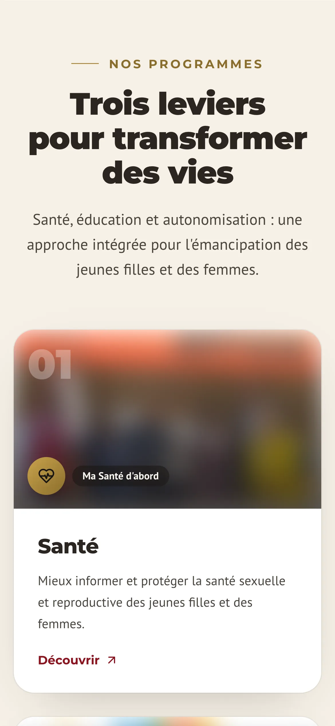 Cartes des programmes du site Woman Leader sur téléphone, photos floutées