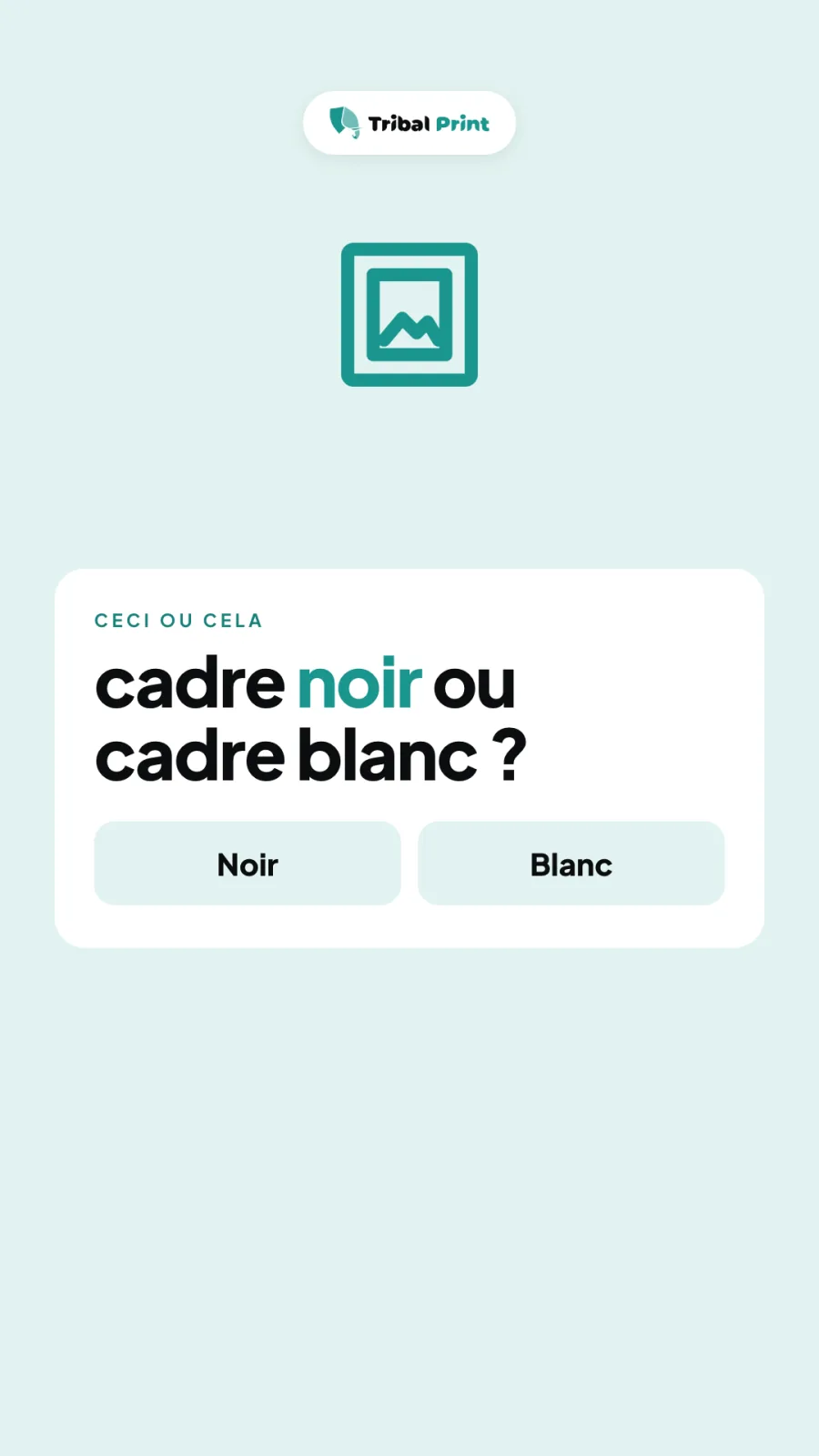 Story Instagram : la question « Cadre noir ou cadre blanc ? » avec deux boutons de réponse